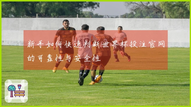 新手如何快速判断世界杯投注官网的可靠性与安全性