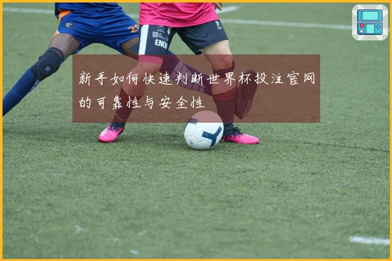 新手如何快速判断世界杯投注官网的可靠性与安全性