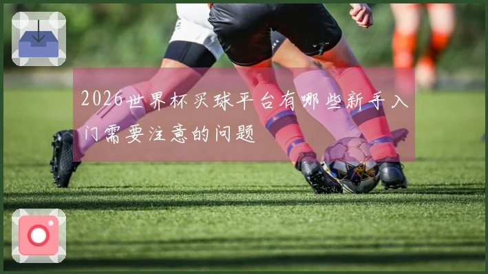 2026世界杯买球平台有哪些新手入门需要注意的问题