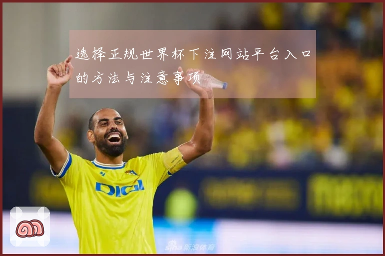 选择正规世界杯下注网站平台入口的方法与注意事项