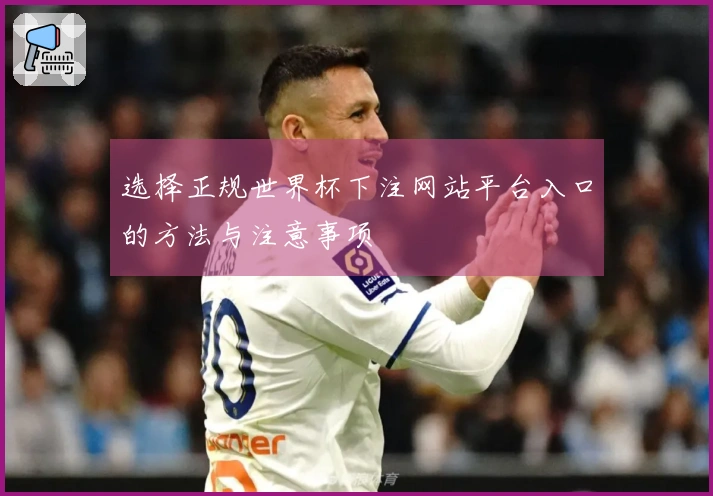 选择正规世界杯下注网站平台入口的方法与注意事项