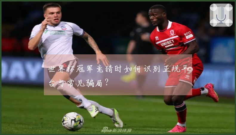 世界杯冠军竞猜时如何识别正规平台与常见骗局？