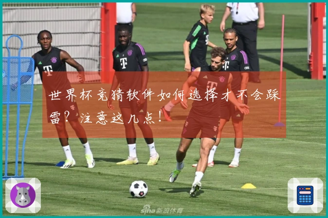 世界杯竞猜软件如何选择才不会踩雷？注意这几点！