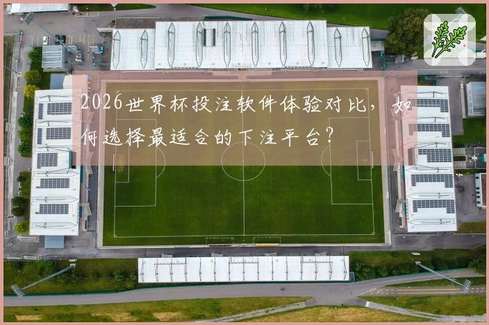 2026世界杯投注软件体验对比，如何选择最适合的下注平台？