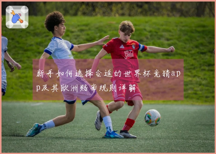 新手如何选择合适的世界杯竞猜app及其欧洲赔率规则详解